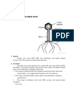 BIOLOGI