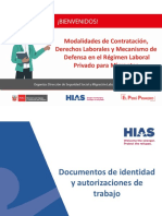 Documentos de identidad y autorizaciones laborales