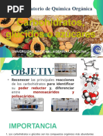 Teoría de Carbohidratos Final (4)