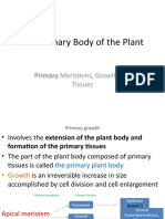 L6 - Primary Plant Body