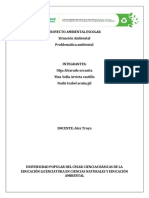 TRABAJO-SITUACON AMBIENTAL-PROBLEMANICA AMBIENTAL Terminado