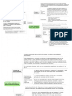 Los Límites Materiales y Formales Al Ejercicio Del Ius Puniendi