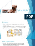 Spina Bifida Powerpoint