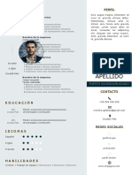 191 Curriculum Vitae Negocios Internacionales