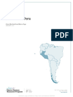 The Case of Peru: Working Paper