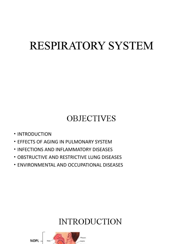 Respiratory Diseases (1) 2 | PDF | Respiratory Tract | Lung