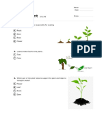 Quiz Parts of A Plant