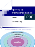 5. PESTEL International markets (04.11.10)