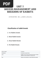 Rabbit Showmanship Study Guide | PDF | Rabbit | Mammals