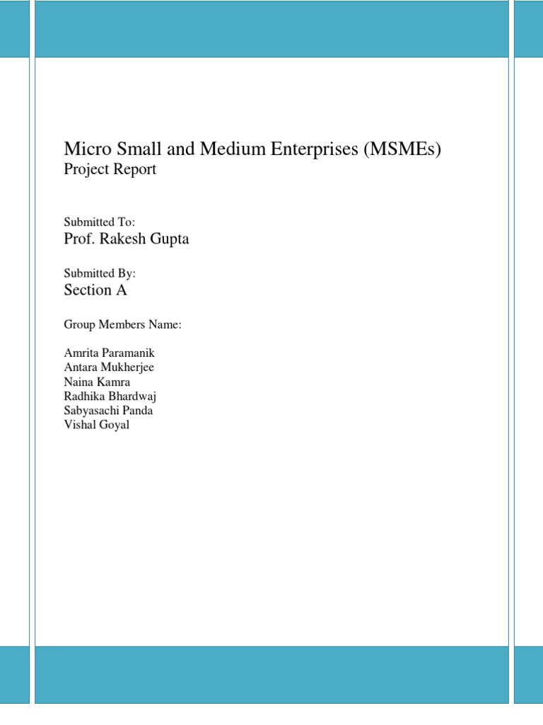 MSME Project Report Overview | PDF | Small And Medium Sized Enterprises ...