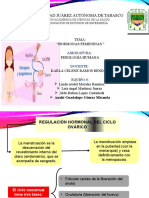 Fisiología Humana - Hormonas Femeninas - Equipo