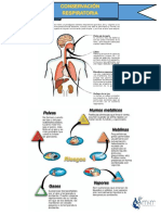 Conservacion Respiratoria