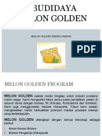 Melon Golden Epul