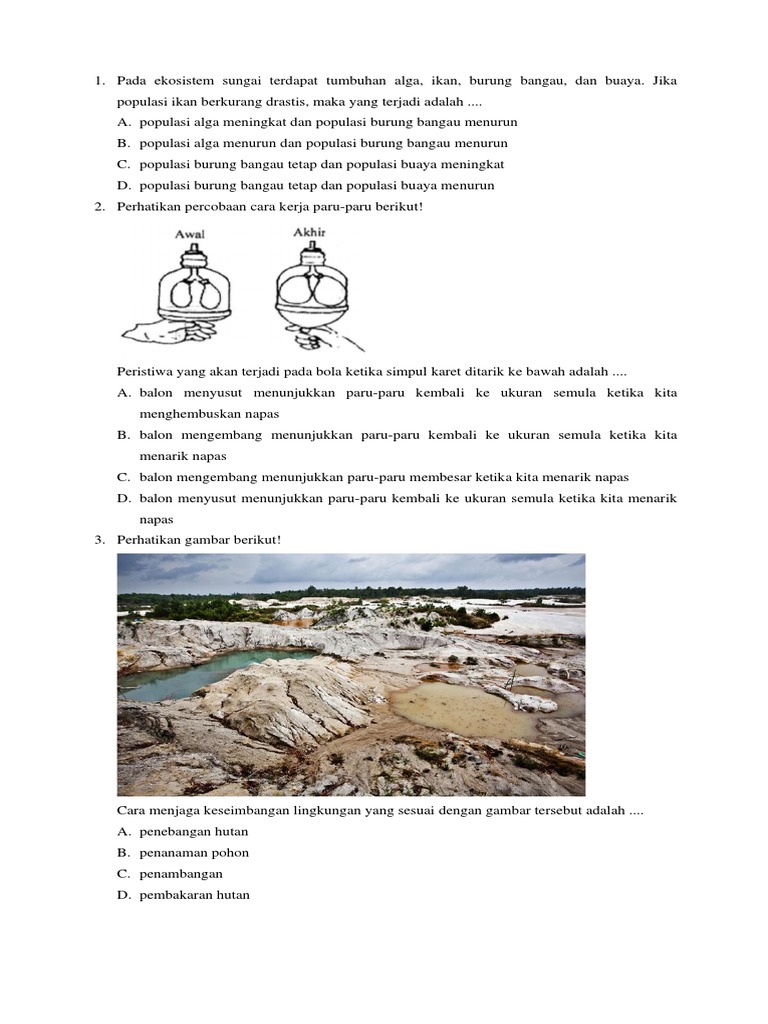 IPA | PDF