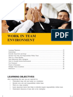 Work in Team Environment