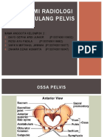 Anatomi Radiologi Tulang Pelvis