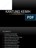 Kantung Kemih 1B