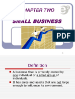 Chapter Two: Small Business