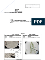Buku Kerja Praktikum Botani Farmasi