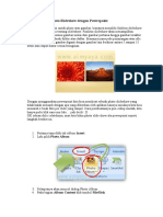 Cara Membuat Foto Slideshow Dengan Powerpoint