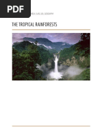 Water Cycle Dynamics in the Amazon Rainforest | PDF | Water Cycle ...