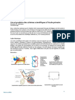 Lire et produire des schémas scientifiques à l’école primaire