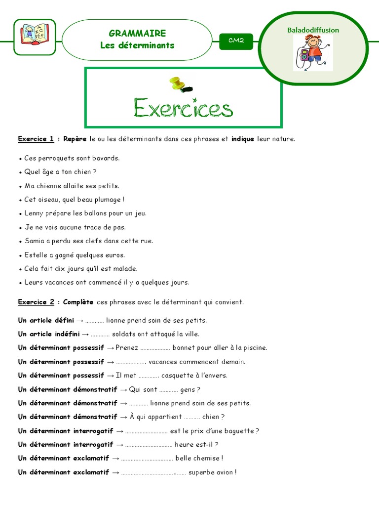 Exercice Sur Les Déterminants Cm2 Exercices Determinants | PDF
