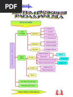Download Catatan Biologi-Sistem Ekskresi by Pande Agung Mahariski SN50413072 doc pdf