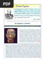 os animiais e o homem