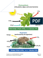 (Performed by Plants, Algae, and Some Bacteria) : Photosynthesis