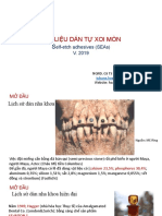 2019 VẬT LIỆU DÁN TỰ XOI MÒN v. 2019