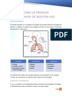 Cómo se produce el sonido de la voz: fonación, articulación y respiración