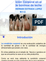 Condicion Corporal de Las Vacas