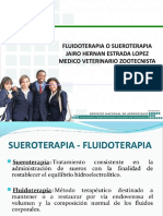 FLUIDOTERAPIA