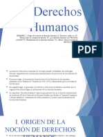 Derechos Humanos PDF