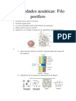 BIOLOGÍA Comunidades Acuáticas Filo Porífero