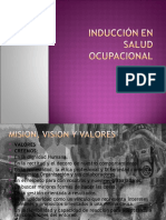 Inducción en Salud Ocupacional2