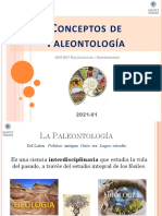 Clase1 ConceptosBÃ¡sicos Paleontologã A