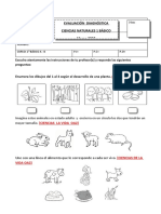 Diagnóstico de Ciencias Primero Básico