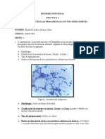 Informe Individual Laboratorio 2