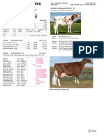 Dairy Bull - 551HO03737 - Kenmore S Monopoly-Red-ET