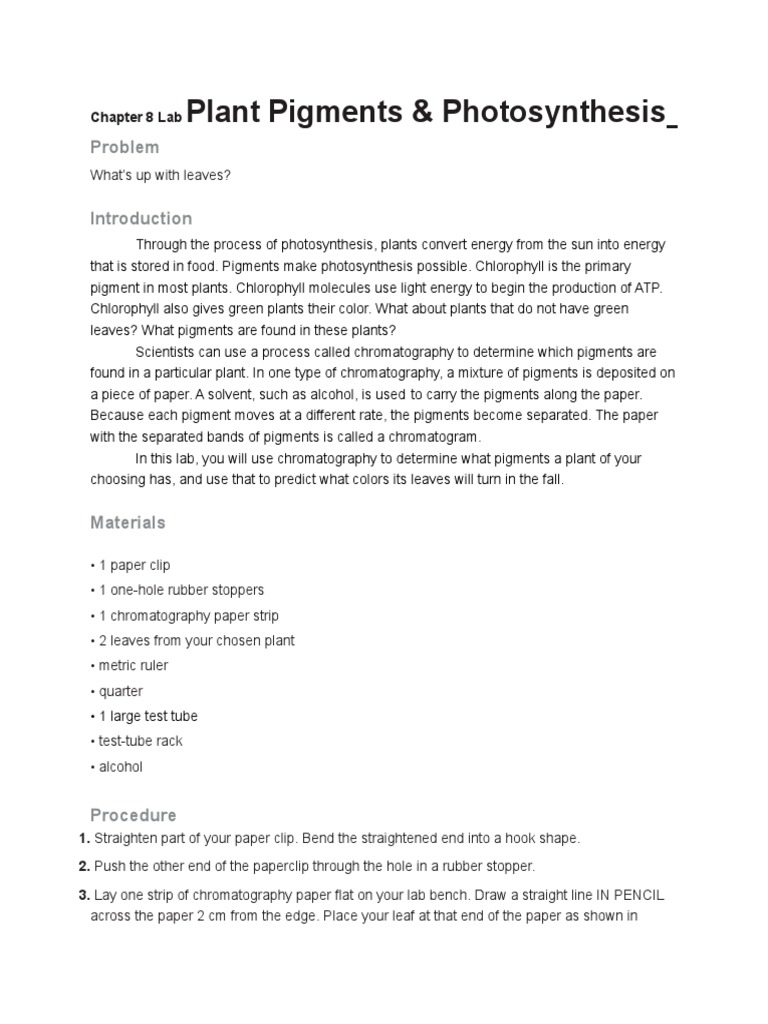 Chromatography Lab PDF Chlorophyll Photosynthesis