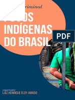 Justiça Criminal e Povos Indígenas No Brasil