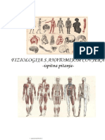Fiziologija I Anatomija Čovjeka
