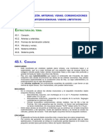 Tema43 Partes Sistema Circulatorio