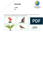 Evaluación Prueba Del Periodo.