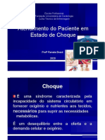 Oficina de Atendimento Ao Paciente em Estado de Choque PDF