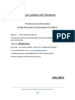Practicas Municipalidad de Quilmana Informe