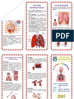 Triptico Sistema Respiratorio