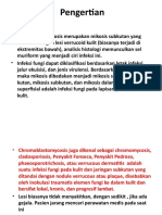 Chromoblastomycosis